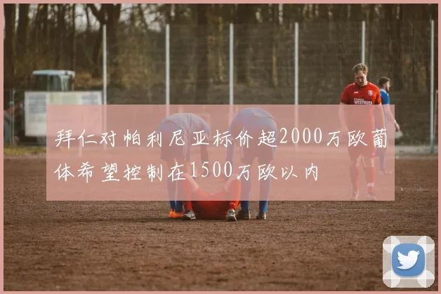 拜仁对帕利尼亚标价超2000万欧葡体希望控制在1500万欧以内